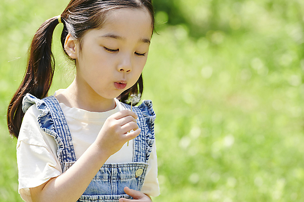 포토 JPG 주간 여자 어린이 양갈래머리 한명 들기 소녀 상반신 야외 옆모습 아웃포커스 여름 한국인 불기 멜빵 즐거움 민들레홀씨 소녀한명만 내려보기 동심 국내포토 자연요소 1 헤어스타일 잡화 계절 감정 뷰포인트 모션 촬영기법 사람 동양인 민들레 여자한명만 소녀만 파일형식