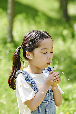 포토 JPG 주간 공원 여자 어린이 양갈래머리 한명 들기 소녀 상반신 야외 옆모습 아웃포커스 여름 눈감음 한국인 불기 멜빵 즐거움 민들레홀씨 소녀한명만 동심 국내포토 자연요소 1 헤어스타일 잡화 계절 공공시설 감정 뷰포인트 모션 촬영기법 사람 동양인 민들레 여자한명만 소녀만 파일형식