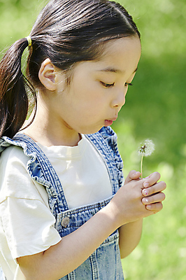 포토 JPG 주간 여자 어린이 양갈래머리 한명 들기 소녀 상반신 야외 옆모습 아웃포커스 여름 한국인 불기 멜빵 즐거움 민들레홀씨 소녀한명만 내려보기 동심 국내포토 자연요소 1 헤어스타일 잡화 계절 감정 뷰포인트 모션 촬영기법 사람 동양인 민들레 여자한명만 소녀만 파일형식