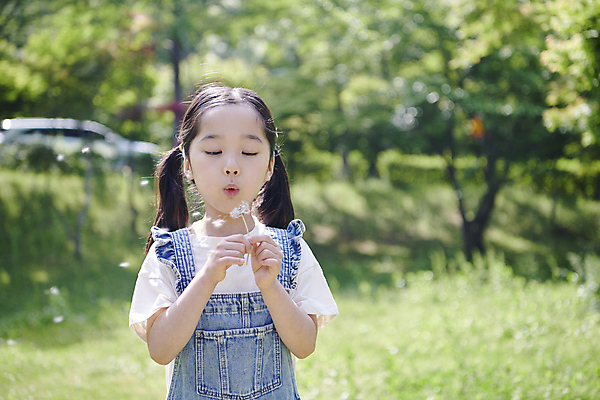 포토 JPG 주간 공원 여자 어린이 양갈래머리 한명 들기 소녀 잔디 상반신 야외 앞모습 아웃포커스 여름 한국인 불기 멜빵 즐거움 민들레홀씨 소녀한명만 동심 국내포토 자연요소 식물 1 헤어스타일 잡화 계절 공공시설 감정 뷰포인트 모션 촬영기법 사람 동양인 민들레 여자한명만 소녀만 파일형식