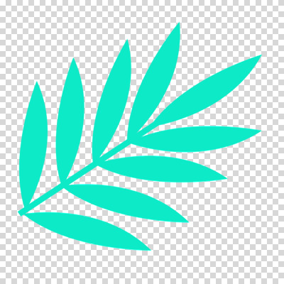 편집이미지 나뭇잎 누끼 사람없음 여름 풀잎 PNG 민트색 트로피컬아트 계절 컬러 잎 풀_식물 그림 파일형식