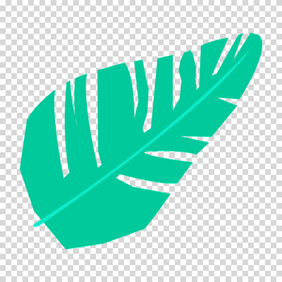 편집이미지 나뭇잎 누끼 사람없음 초록색 여름 PNG 트로피컬아트 계절 컬러 잎 그림 파일형식