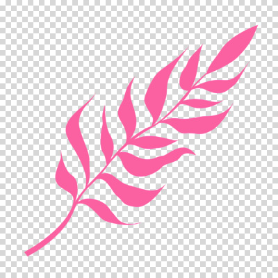 편집이미지 분홍색 나뭇잎 누끼 사람없음 여름 풀잎 PNG 트로피컬아트 계절 컬러 잎 풀_식물 그림 파일형식