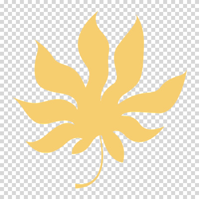 편집이미지 나뭇잎 누끼 사람없음 여름 노란색 PNG 트로피컬아트 계절 컬러 잎 그림 파일형식