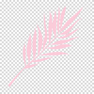 편집이미지 분홍색 나뭇잎 누끼 사람없음 여름 풀잎 PNG 트로피컬아트 계절 컬러 잎 풀_식물 그림 파일형식