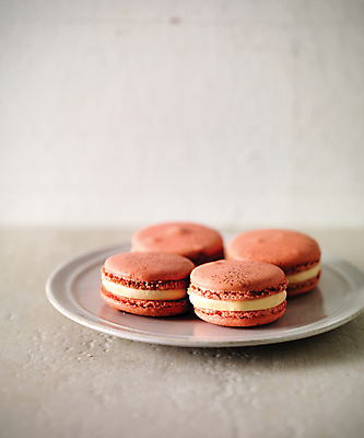 포토 JPG 스튜디오촬영 접시 분홍색 사람없음 여러개 달콤 마카롱 맛있는 국내포토 식기 컬러 다수 디저트 실내 맛 파일형식