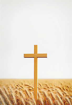 JPG 편집이미지 십자가 하늘 사람없음 디지털합성 보리 보리밭 맥추감사절 편집실사 AI포토 AI콘텐츠 기독교 밭 곡류 CG 파일형식