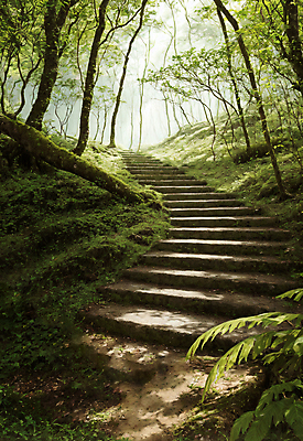 JPG 주간 나무 편집이미지 길 자연 이끼 풍경 사람없음 야외 초록색 계단 숲 숲길 편집실사 AI포토 AI콘텐츠 자연요소 식물 컬러 CG 생태계 파일형식