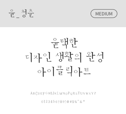 폰트 한글 사람없음 OTF 국문폰트 낱개폰트 설치폰트 디자인서체 미디움체 윤폰트 청춘체 문자 파일형식