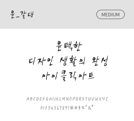 폰트 한글 사람없음 OTF 국문폰트 낱개폰트 설치폰트 디자인서체 미디움체 윤폰트 갈대체 문자 파일형식