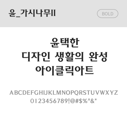 폰트 한글 사람없음 OTF 볼드체 국문폰트 낱개폰트 설치폰트 디자인서체 윤폰트 가시나무체 문자 파일형식