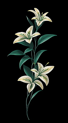 PSD 식물 꽃 잎 일러스트 사람없음 초록색 빈티지 백합 복고 오브제 국내일러스트 컬러 컨셉 파일형식