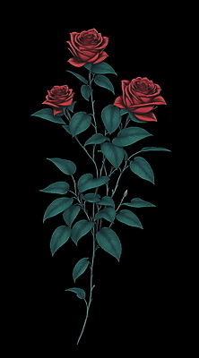 PSD 식물 꽃 잎 일러스트 사람없음 빨간색 초록색 장미 빈티지 복고 오브제 국내일러스트 컬러 컨셉 파일형식