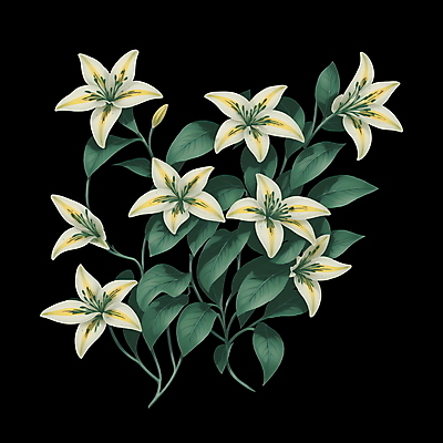 PSD 식물 꽃 잎 일러스트 사람없음 초록색 흰색 빈티지 백합 복고 오브제 국내일러스트 컬러 컨셉 파일형식