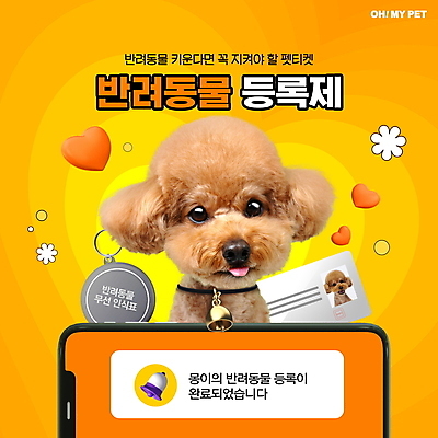 PSD 편집이미지 한마리 반려견 모바일 타이포그라피 사람없음 스마트폰 반려동물 주황색 종 하트 강아지 알림 푸들 애완동물등록제 오픈행사 증명서 펫티켓 반려동물인식표 등록 앱푸시 이미지편집 반려용품 모양 동물 문자 1 컬러 핸드폰 스마트기기 예절 오픈 개 오브젝트 제도 파일형식