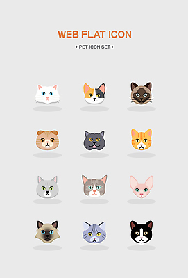아이콘 여러마리 종류 사람없음 고양이 다양 터키시앙고라 러시안블루 샴고양이 스코티시폴드 페르시안 먼치킨 봄베이 아메리칸숏헤어 스핑크스고양이 브리티쉬숏헤어 2D아이콘 AI파일 다수 포유류 반려동물 파일형식 벡터