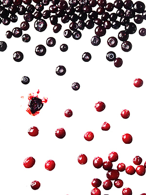 포토 JPG 스튜디오촬영 식재료 누끼 사람없음 여러개 체리 폭발 으깨기 국내포토 다수 컨셉 과일 실내 파일형식