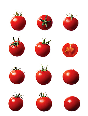 포토 JPG 스튜디오촬영 토마토 식재료 방울토마토 단면 누끼 사람없음 빨간색 여러개 슬라이스 일렬 국내포토 컬러 다수 채소 실내 파일형식