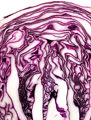 포토 JPG 스튜디오촬영 식재료 단면 누끼 근접촬영 사람없음 보라색 슬라이스 적양배추 국내포토 뷰포인트 컬러 실내 양배추 파일형식