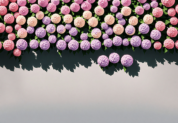 JPG 편집이미지 꽃 그림자 사람없음 디지털합성 수국 카피스페이스 편집소스 편집실사 AI포토 AI콘텐츠 식물 공백 CG 파일형식