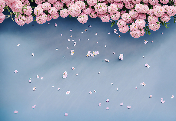 JPG 편집이미지 꽃잎 꽃 분홍색 사람없음 파란색 디지털합성 카피스페이스 편집소스 편집실사 AI포토 AI콘텐츠 식물 컬러 공백 CG 파일형식