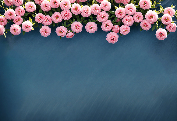 JPG 편집이미지 꽃 분홍색 나뭇잎 사람없음 남색 디지털합성 카피스페이스 편집소스 편집실사 AI포토 AI콘텐츠 식물 컬러 잎 공백 CG 파일형식