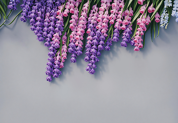 JPG 편집이미지 꽃 나뭇잎 그림자 사람없음 보라색 회색 디지털합성 카피스페이스 편집소스 편집실사 AI포토 AI콘텐츠 식물 컬러 잎 공백 CG 파일형식