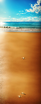 JPG 주간 편집이미지 세로배너 파도 바다 하늘 불가사리 풍경 해변 사람없음 야외 디지털합성 편집실사 AI포토 AI콘텐츠 자연요소 배너 극피동물 세로 CG 파일형식