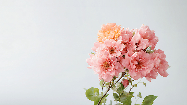 JPG 편집이미지 꽃 분홍색 부케 결혼 사람없음 디지털합성 결혼소품 편집실사 AI포토 AI콘텐츠 식물 컬러 꽃다발 이벤트 CG 오브젝트 파일형식