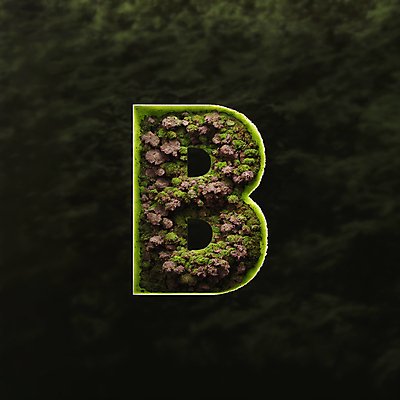 JPG 나무 편집이미지 문자 알파벳 대문자 이끼 타이포그라피 사람없음 초록색 B 디지털합성 편집소스 이미지편집 편집실사 AI컴퓨터그래픽 AI콘텐츠 식물 영어 컬러 CG 파일형식
