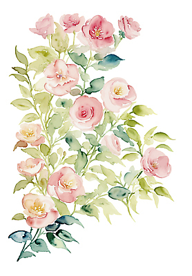 식물 꽃 잎 일러스트 수채화 사람없음 장미 풀 손그림 감성 엘리먼트 국내일러스트 AI파일 컨셉 파일형식 벡터