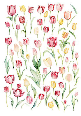 식물 꽃 잎 일러스트 수채화 사람없음 튤립 풀 손그림 감성 엘리먼트 국내일러스트 AI파일 컨셉 파일형식 벡터