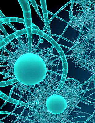 JPG 모양 편집이미지 세포 사람없음 그래픽 바이러스 질병 디지털합성 미생물 박테리아 민트색 이미지편집 편집실사 AI컴퓨터그래픽 AI콘텐츠 컬러 의학 생물 CG 파일형식