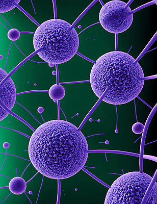 JPG 모양 편집이미지 세포 사람없음 그래픽 보라색 바이러스 질병 디지털합성 미생물 박테리아 이미지편집 편집실사 AI컴퓨터그래픽 AI콘텐츠 컬러 의학 생물 CG 파일형식