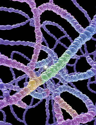 JPG 모양 편집이미지 세포 사람없음 그래픽 바이러스 질병 디지털합성 미생물 박테리아 이미지편집 편집실사 AI컴퓨터그래픽 AI콘텐츠 의학 생물 CG 파일형식