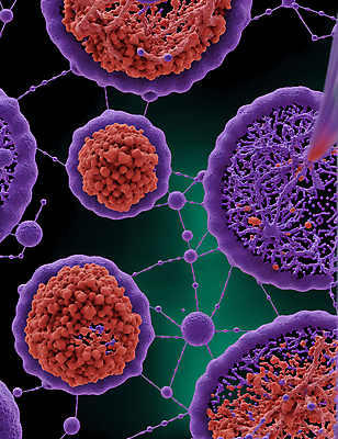 JPG 모양 편집이미지 세포 사람없음 그래픽 바이러스 질병 디지털합성 미생물 박테리아 이미지편집 편집실사 AI컴퓨터그래픽 AI콘텐츠 의학 생물 CG 파일형식