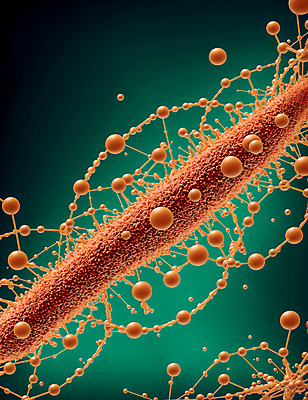 JPG 모양 편집이미지 세포 사람없음 그래픽 주황색 원형 바이러스 질병 디지털합성 미생물 박테리아 이미지편집 편집실사 AI컴퓨터그래픽 AI콘텐츠 도형 컬러 의학 생물 CG 파일형식