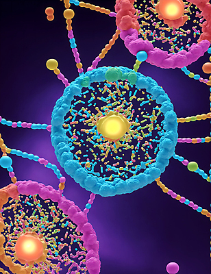 JPG 모양 편집이미지 세포 사람없음 그래픽 원형 바이러스 질병 연결 디지털합성 미생물 박테리아 이미지편집 편집실사 AI컴퓨터그래픽 AI콘텐츠 도형 의학 생물 CG 파일형식