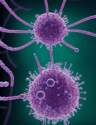 JPG 모양 편집이미지 세포 사람없음 그래픽 바이러스 질병 디지털합성 미생물 박테리아 이미지편집 편집실사 AI컴퓨터그래픽 AI콘텐츠 의학 생물 CG 파일형식