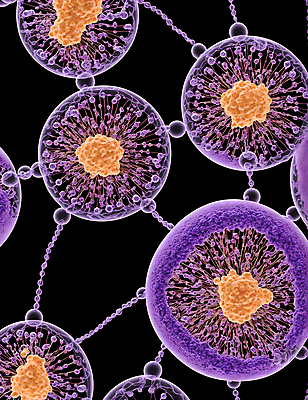 JPG 모양 편집이미지 세포 사람없음 그래픽 원형 바이러스 질병 연결 디지털합성 미생물 박테리아 이미지편집 편집실사 AI컴퓨터그래픽 AI콘텐츠 도형 의학 생물 CG 파일형식