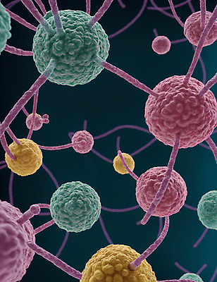 JPG 모양 편집이미지 세포 사람없음 그래픽 원형 바이러스 질병 연결 디지털합성 미생물 박테리아 이미지편집 편집실사 AI컴퓨터그래픽 AI콘텐츠 도형 의학 생물 CG 파일형식