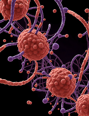 JPG 모양 편집이미지 세포 사람없음 그래픽 바이러스 질병 디지털합성 미생물 박테리아 이미지편집 편집실사 AI컴퓨터그래픽 AI콘텐츠 의학 생물 CG 파일형식