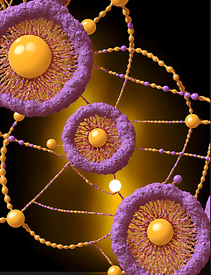JPG 모양 편집이미지 세포 사람없음 그래픽 바이러스 질병 디지털합성 미생물 박테리아 이미지편집 편집실사 AI컴퓨터그래픽 AI콘텐츠 의학 생물 CG 파일형식