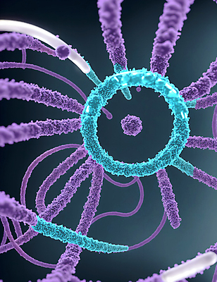 JPG 모양 편집이미지 세포 사람없음 그래픽 바이러스 질병 디지털합성 미생물 박테리아 이미지편집 편집실사 AI컴퓨터그래픽 AI콘텐츠 의학 생물 CG 파일형식