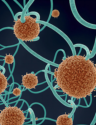 JPG 모양 편집이미지 세포 사람없음 그래픽 바이러스 질병 디지털합성 미생물 박테리아 이미지편집 편집실사 AI컴퓨터그래픽 AI콘텐츠 의학 생물 CG 파일형식