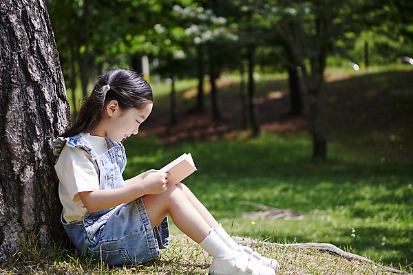 포토 JPG 주간 전신 나무 공원 여자 어린이 자연 한명 미소 들기 앉기 소녀 야외 옆모습 책 여름 독서 한국인 소녀한명만 국내포토 자연요소 식물 1 계절 공공시설 뷰포인트 모션 표정 사람 동양인 생태계 여자한명만 소녀만 파일형식