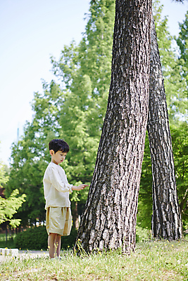 포토 JPG 주간 전신 나무 공원 남자 어린이 자연 한명 서기 미소 소년 야외 옆모습 여름 한국인 가리킴 관찰 소년한명만 내려보기 국내포토 자연요소 식물 1 계절 공공시설 뷰포인트 모션 표정 사람 동양인 손짓 생태계 남자한명만 소년만 파일형식