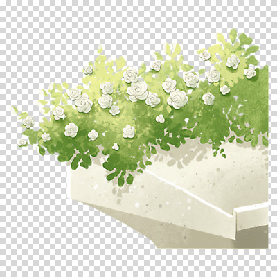 편집이미지 누끼 사람없음 장미 흰색 풀 단상 PNG 주례 식물 꽃 컬러 파일형식