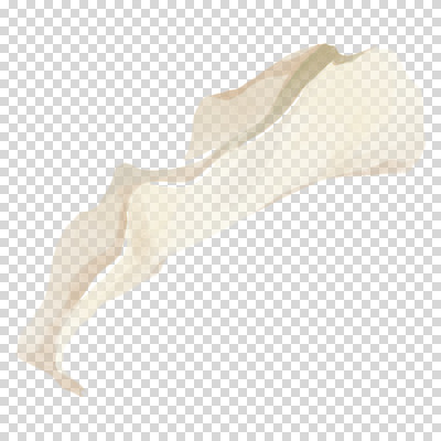 편집이미지 꽃잎 붓터치 수채화 누끼 사람없음 흰색 카라 번짐 PNG 꽃 컬러 파일형식 효과