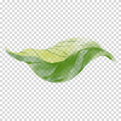 편집이미지 붓터치 나뭇잎 수채화 누끼 사람없음 초록색 번짐 PNG 컬러 잎 파일형식 효과